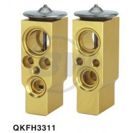 QKFH3311 RENAULT EXPASİON