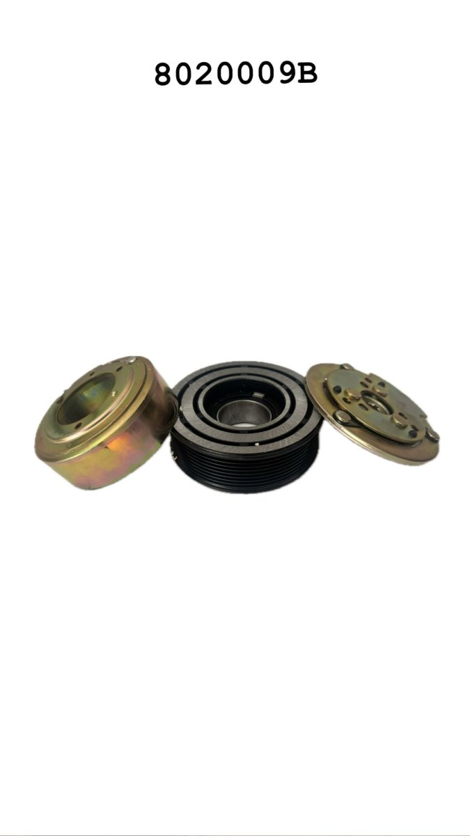 8020009B 5H14 8PK 24V KASNAK SETİ